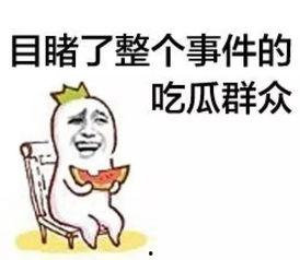北仑吃瓜群众,吃瓜群众的欢乐时光