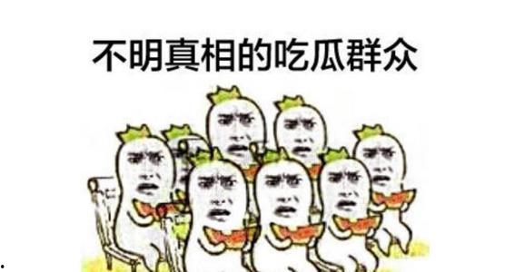 吃瓜群众改风格了吗,揭秘网络舆论的演变轨迹