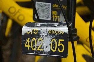 好漂亮的吃瓜群众怎么说,揭秘网络热议背后的趣味与真相