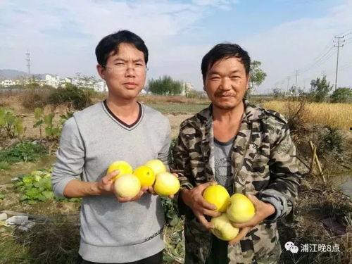 吃瓜群众0806,一场全民参与的娱乐盛宴