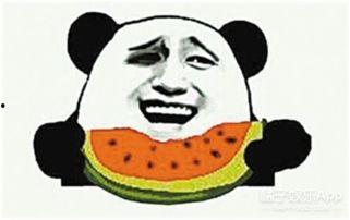 吃瓜群众碰拳二哈,一场欢乐的碰撞