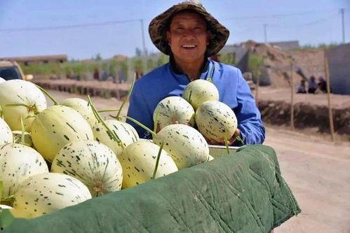 站着两个吃瓜群众,两位吃瓜群众的趣味观察