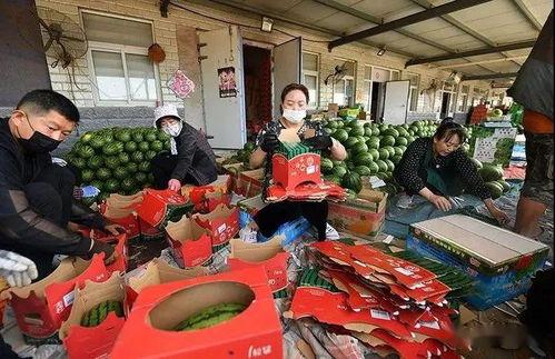 肥东工厂吃瓜群众