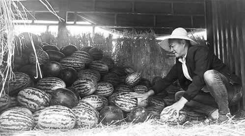 清水河国门吃瓜群众,吃瓜群众的围观盛宴