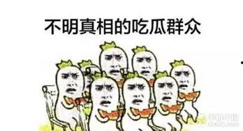 下瓜园吃瓜群众是谁