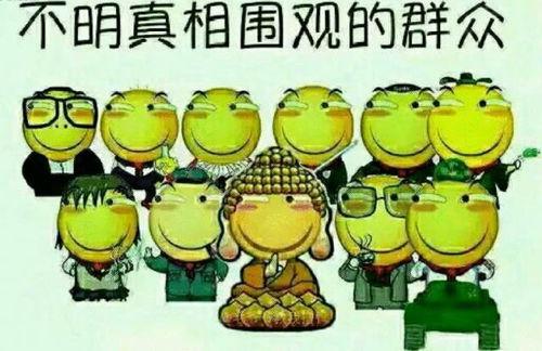 吃瓜群众小球音乐