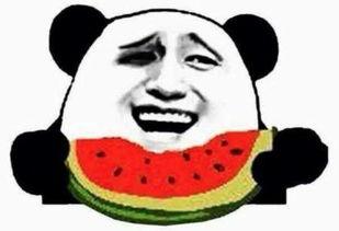 吃瓜群众范伟,吃瓜群众的智慧与幽默