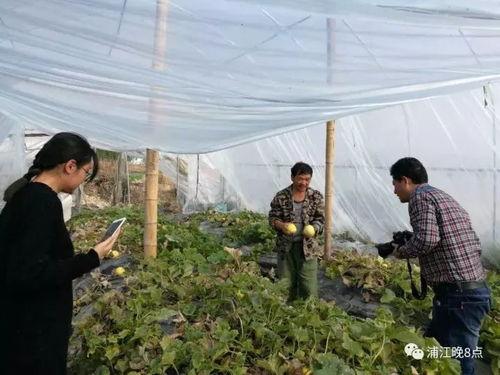 户外活动一下吃瓜群众,吃瓜群众共赏夏日盛宴